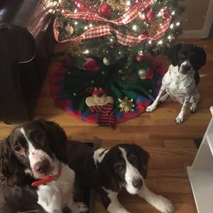 Meet your Posher, Kristy